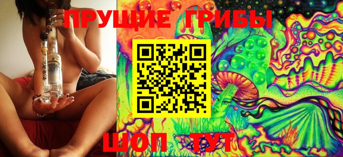 Псилоцибиновые грибы Psilocybine cubensis Тула